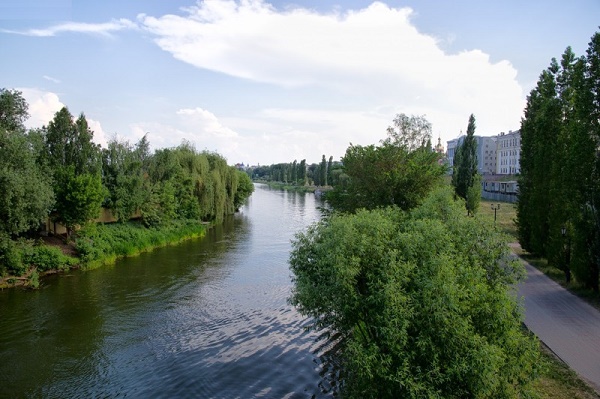 В Тамбовской области планируют расчистить русла трех рек