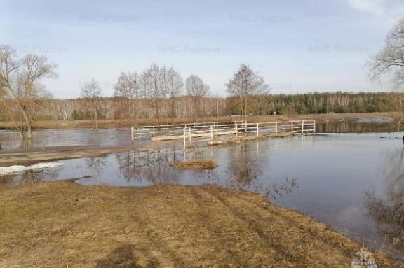 В Тамбовской области подтоплены пять мостов