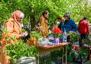 DSC_8077.jpg