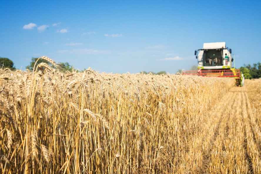 Аграрии Тамбовской области намолотили три миллиона тонн зерна