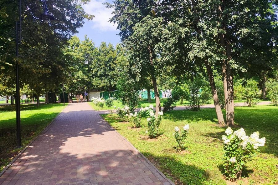 В первые выходные осени в Тамбовской области будет ветрено и дождливо
