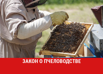 Принят Федеральный закон «О пчеловодстве в Российской Федерации»