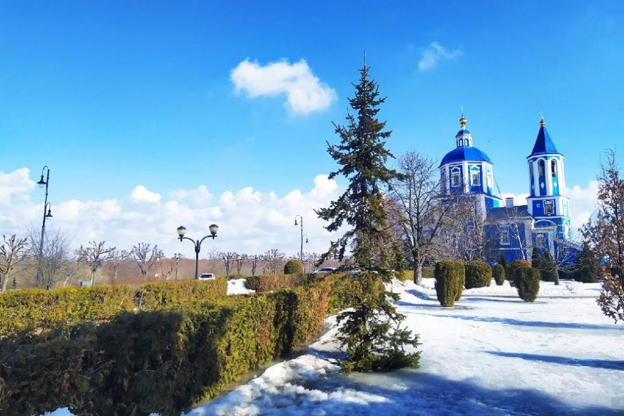 Обзор за неделю: сокращение производство мяса и молока, продление ареста Максиму Егорову, ремонт трёх улиц Тамбова воронежским подрядчиком