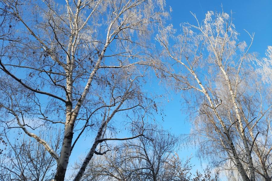 В Тамбовскую область вновь придут 15-градусные морозы