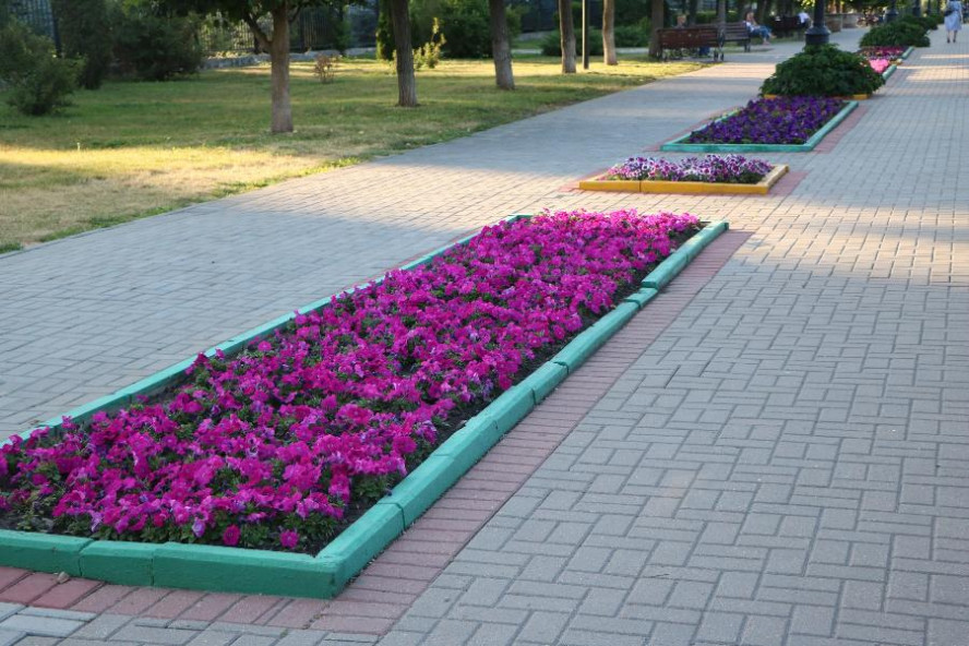 В Тамбове это весной планируют высадить более 3 миллионов цветов