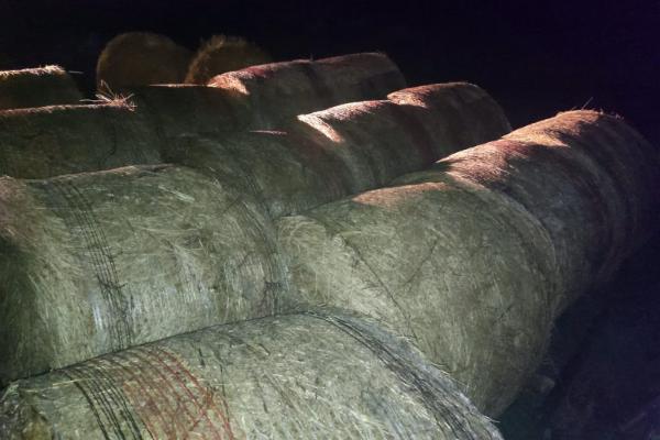 Жителю Мордовского района вернули семь тонн украденного сена