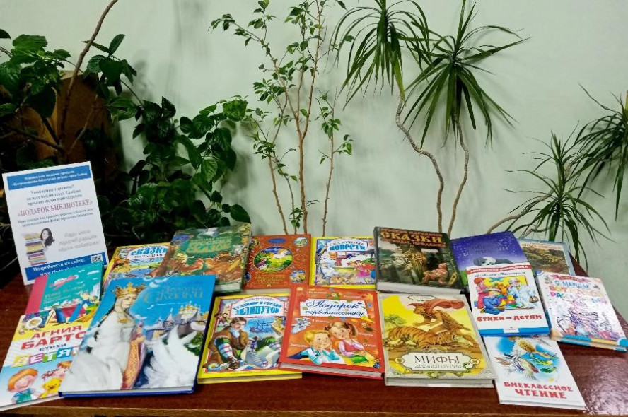 Тамбовским библиотекам в рамках акции подарили уже порядка 500 книг