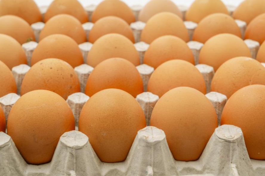 Генпрокурор РФ поручил провести проверку по факту завышения цен на куриные яйца