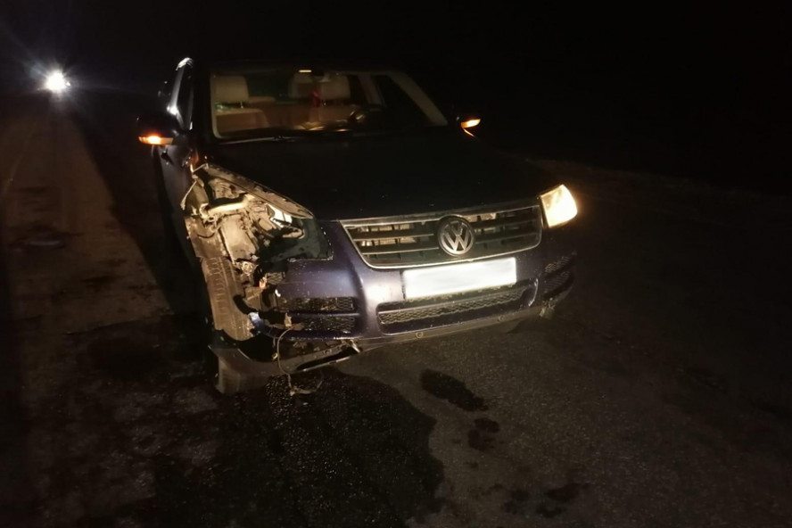 В Тамбовской области водитель иномарки насмерть сбил женщину