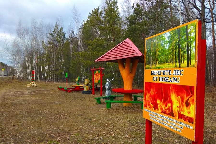 В лесах Тамбовской области оборудовали 365 мест отдыха