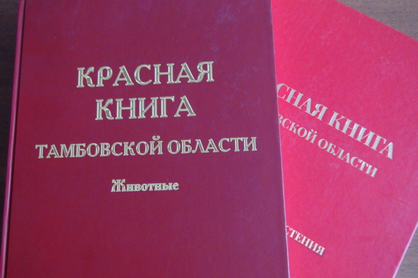 Красная книга Тамбовской области будет переиздана 