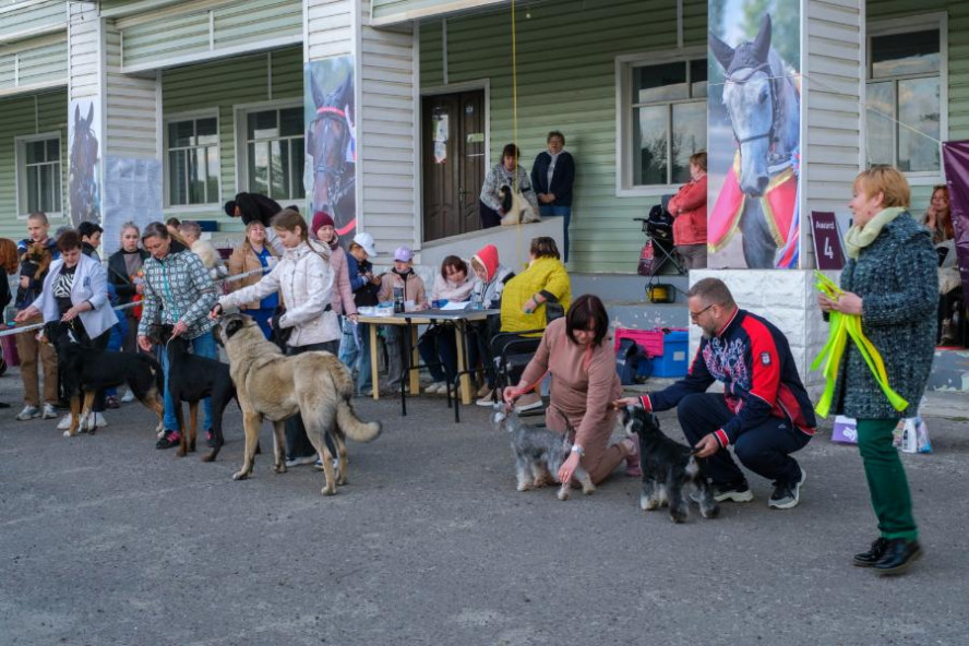 В Тамбове состоялись Всероссийские выставки собак всех пород