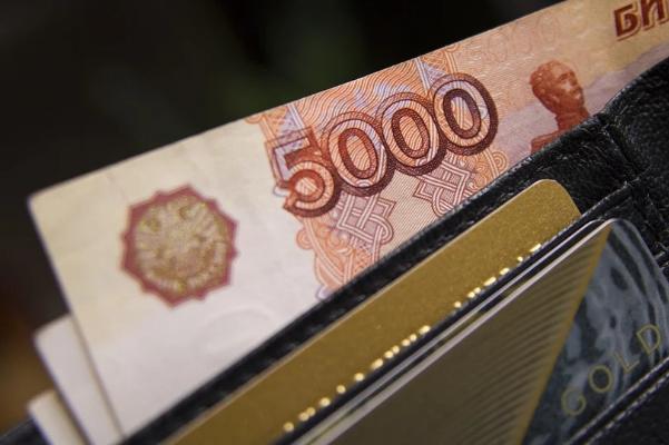 С тамбовчанки за мошенничество взыскали более 200 тысяч рублей 