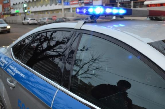 В Тамбове полицейские пресекли деятельность преступного сообщества теневых банкиров