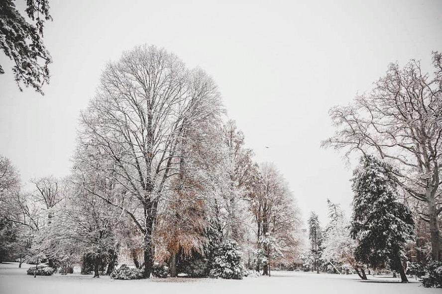 В Тамбове на этой неделе ожидается череда снегопадов
