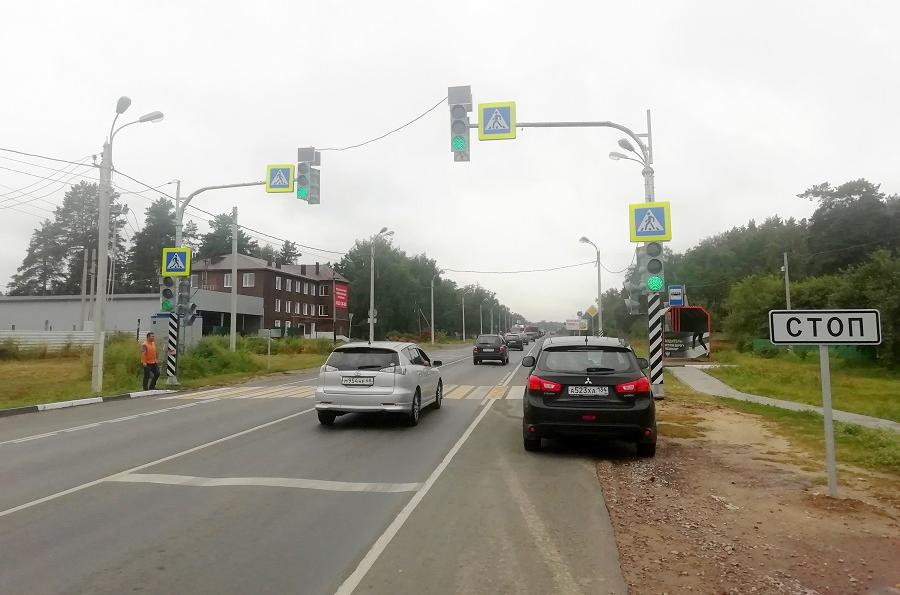 На трассе "Тамбов-Пенза" установили новые пешеходные светофоры