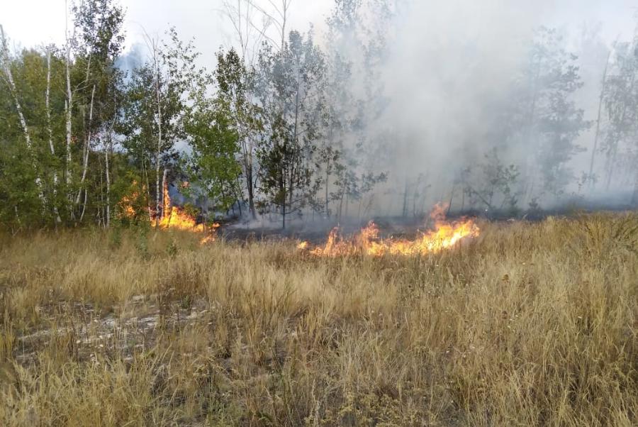 В Тамбовской области продолжает действовать особый противопожарный режим