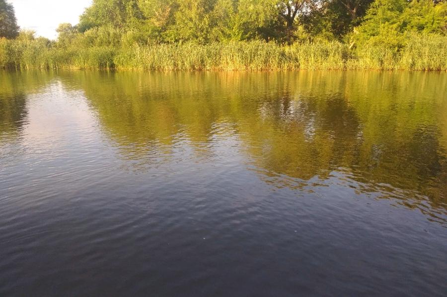 За неделю в водоёмах Тамбовской области утонули пять человек