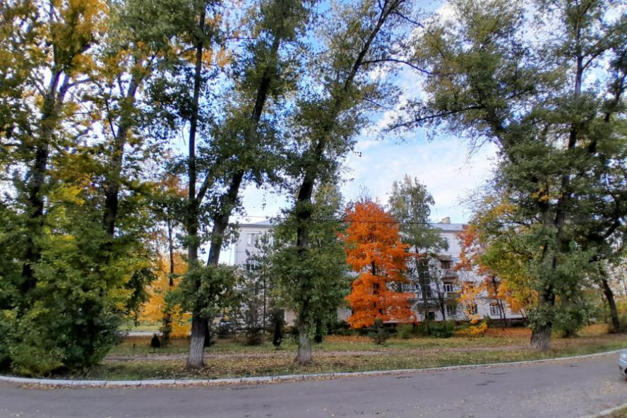 Итоги дня: 150 домов в Тамбове без отопления, 2000-й новорождённый, о школах на улицах Сенько и Мичуринской 