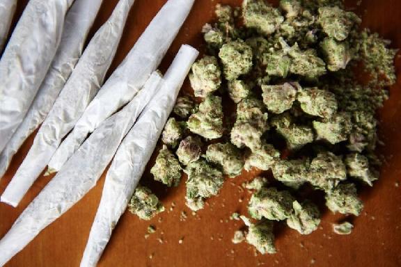 У жителя Мичуринского округа в сарае обнаружили марихуану