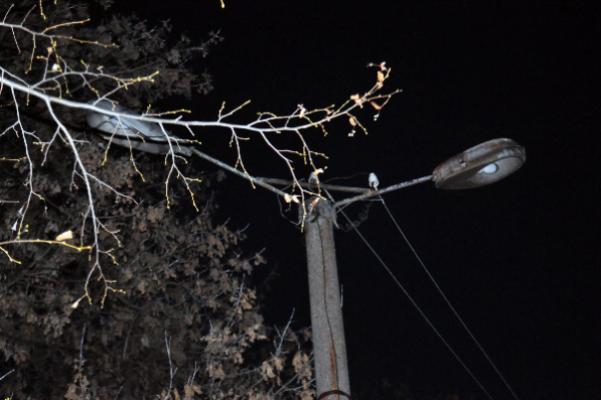 В нескольких населенных пунктах Бондарского района отсутствует уличное освещение