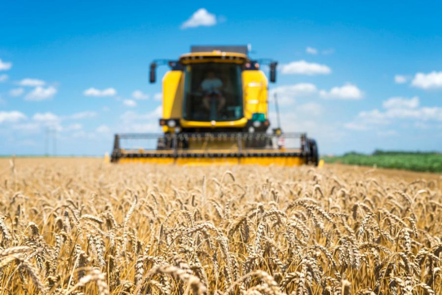 Организация уклонилась от заключения контракта на уборку зерновых с учреждением УФСИН и попала в "черный список"