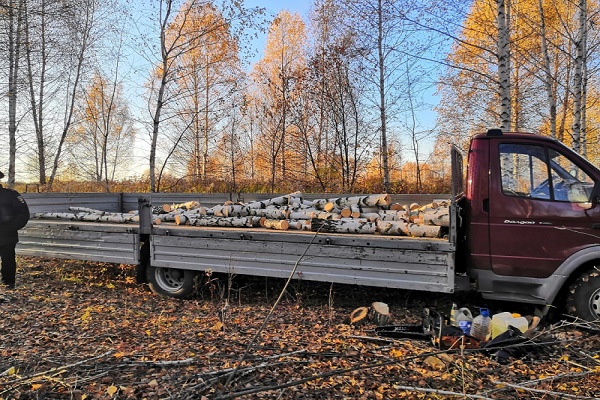 В Тамбовской области по горячим следам выявлена незаконная рубка деревьев