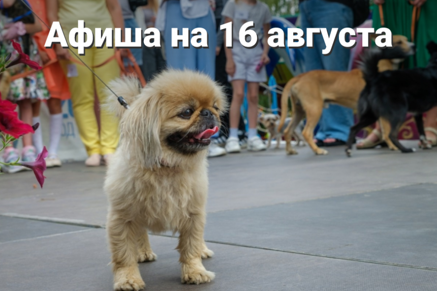 Афиша мероприятий на 16 августа