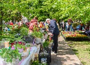 DSC_8176.jpg