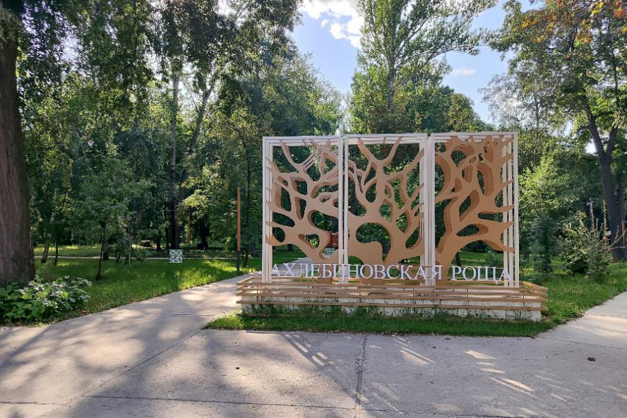 В Тамбове пройдёт фестиваль активного долголетия