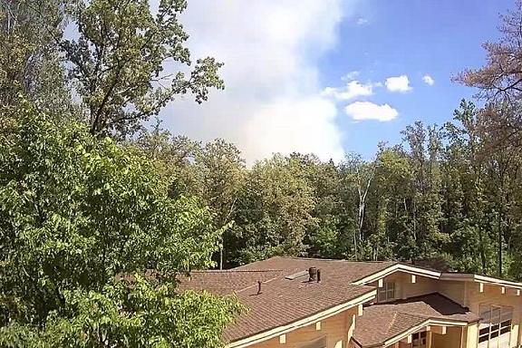 В Тамбовском районе ликвидировали возгорание леса на площади 5 гектаров
