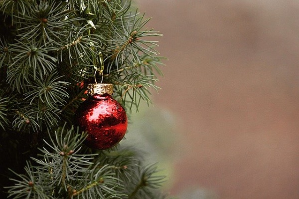 Житель Мичуринска украл елку, чтобы отпраздновать Новый год