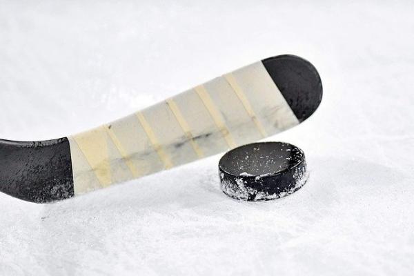 В Тамбове состоялись финальные игры хоккейного турнира "Золотая шайба"