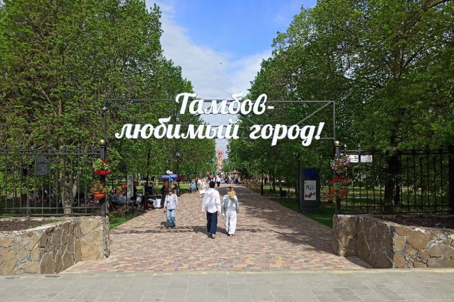 Концерт, квиз и высадка аллеи берёз: в Тамбове отметят День соседей