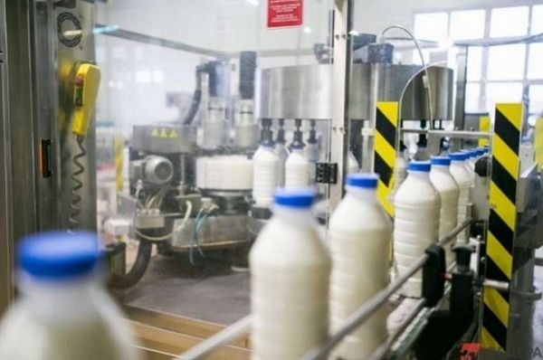 Молокозавод в Сосновке заплатит крупный штраф за антисанитарию