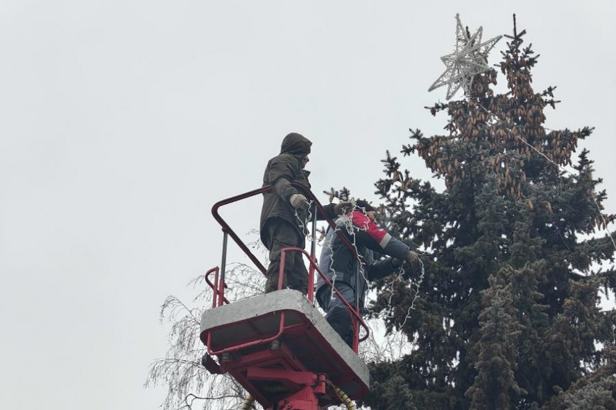 В Тамбове наряжают живую десятиметровую ель в сквере на Гастелло
