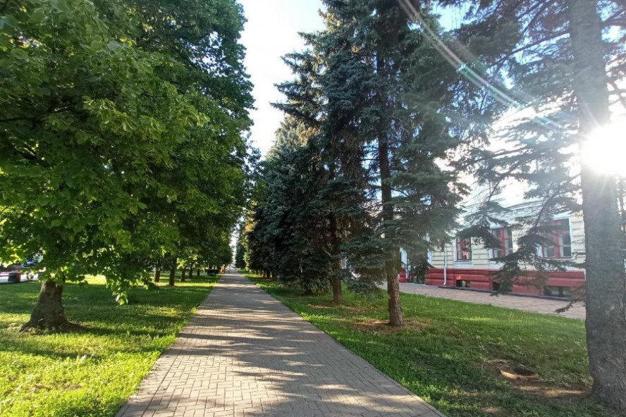 В последние выходные лета в Тамбове ожидается до +24 градусов