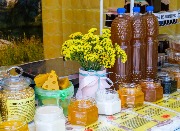 DSCF8102.jpg