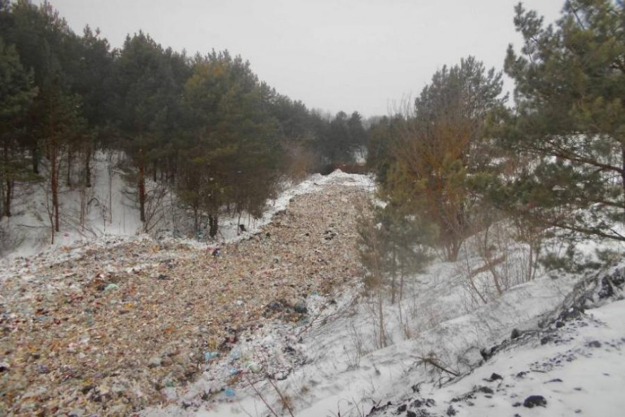 Свалку мусора в Кирсановском районе признали незаконной