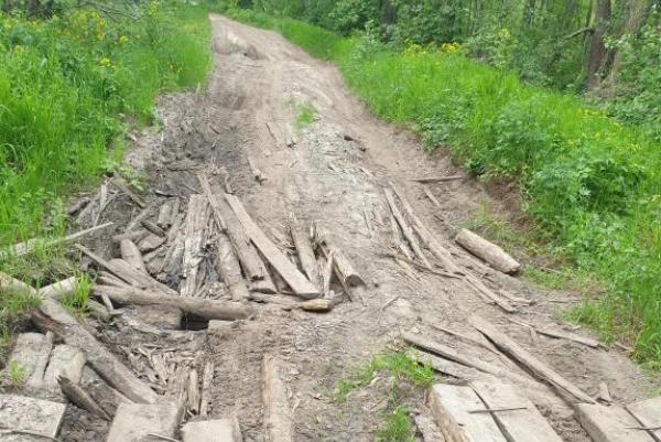 Прокуратура требует отремонтировать разваливающийся мост в "Вернадском лесхозе"