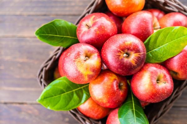 Садоводы Тамбовской области начали сбор урожая яблок