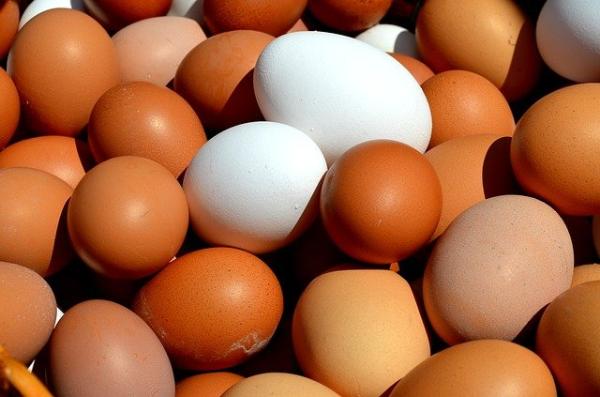 В Минсельхозе обещают поддержать птицефабрики и не допустить рост цен на яйца