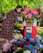 DSC_8185.jpg