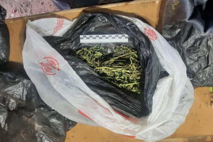 В Тамбовской области мужчина заготовил килограмм марихуаны для личного потребления