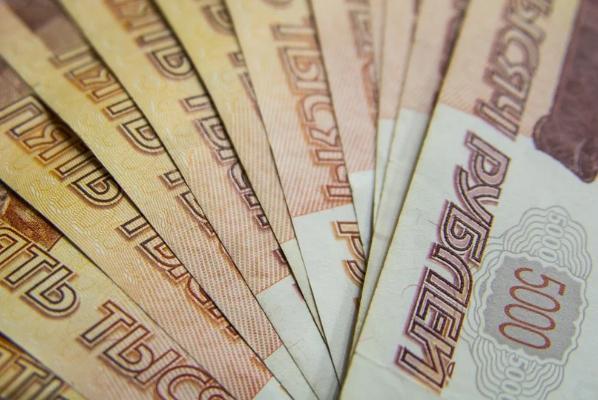 Директор сельхозорганизации оплатил более 19 млн рублей долга по налогам