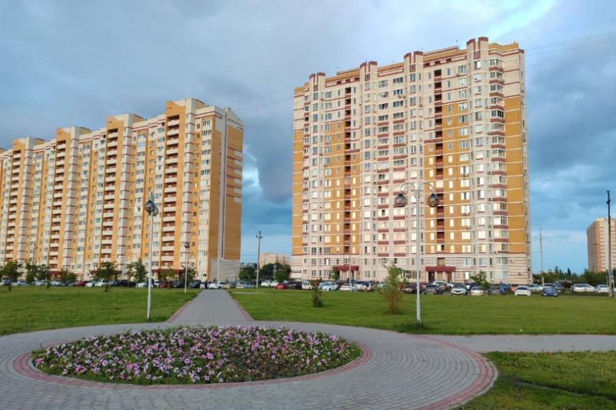 Обзор за неделю: реновация детских загородных лагерей, борьба за клуб в Рассказове, приговор Роману Шамояну