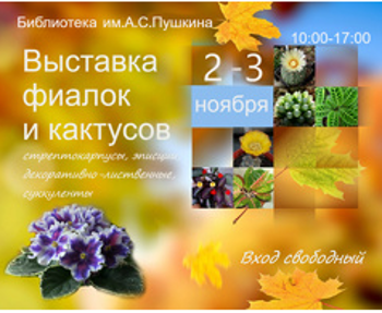 Выставка фиалок и кактусов в Пушкинской библиотеке