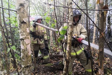 Тамбовские спасатели вернулись после тушения лесных пожаров в Рязанской области