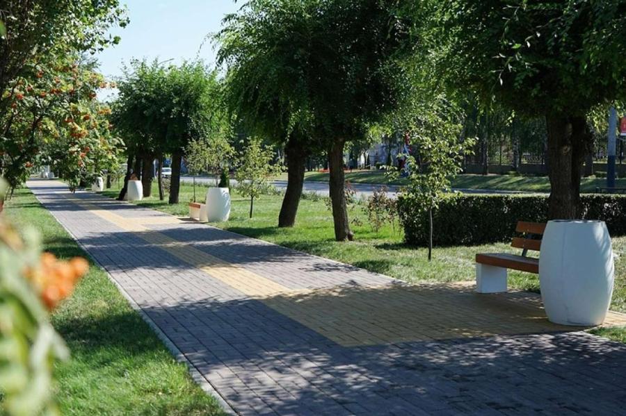 В Тамбове опубликовали дизайн-проекты общественных территорий