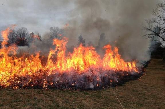 В Тамбовской области ожидается 4 класс пожарной опасности